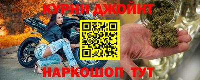 гидра Кингисепп