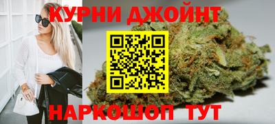 гидра Кингисепп