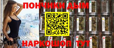 гидра Кингисепп