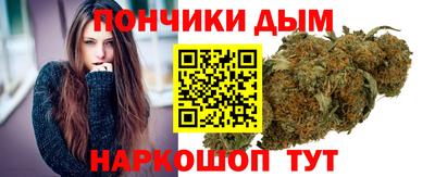 гидра Кингисепп