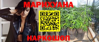 гидра Кингисепп