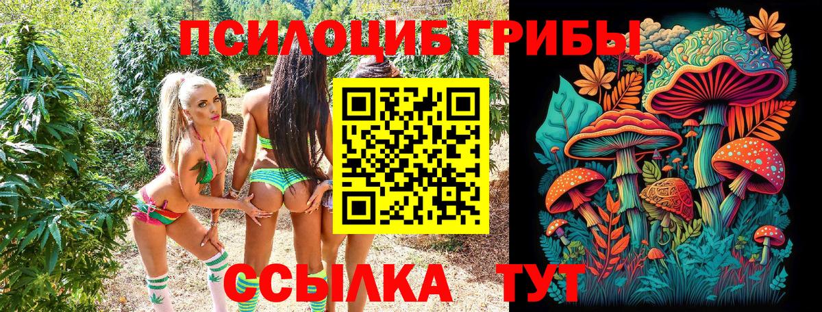 Галлюциногенные грибы GOLDEN TEACHER Чусовой